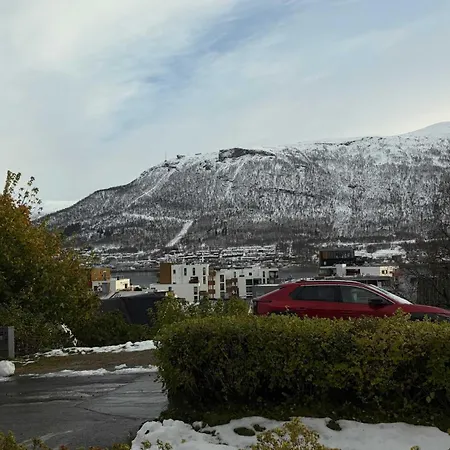 Elegant With Northern Lights View