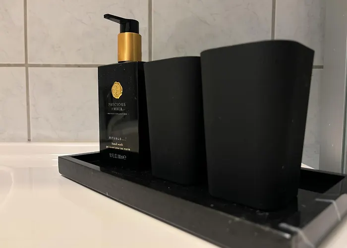 Elegant With Northern Lights View